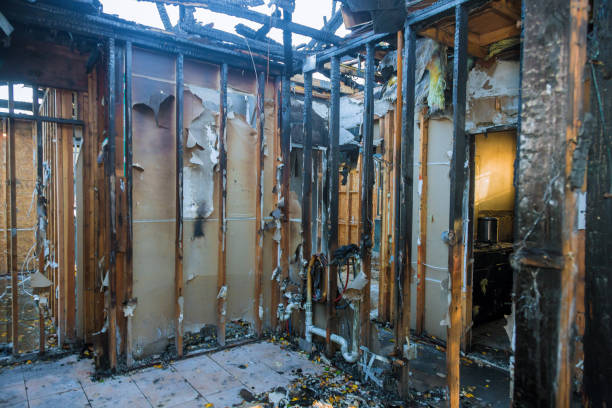 Professional Fire Damage Removal technician working in Woodbranch, TX
